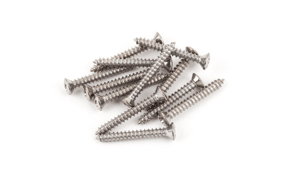 Genuine Fender Bass/Telecaster® Bridge/Strap Button Mounting Screws, Phillips-Head, Chrome, (12) - FE-002-1422-049