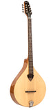 Gold Tone BZ-500: Irish Bouzouki Mandolin with Pickup and Case - NEW