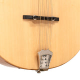 Gold Tone BZ-500: Irish Bouzouki Mandolin with Pickup and Case - NEW