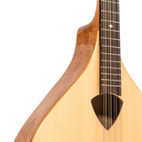 Gold Tone BZ-500: Irish Bouzouki Mandolin with Pickup and Case - NEW