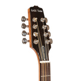 Gold Tone BZ-500: Irish Bouzouki Mandolin with Pickup and Case - NEW