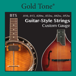 Gold Tone Banjitar Banjo-Guitar BTS Strings 6 string Loop End 010-052