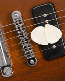 SportHiTech | Guitar and Bass Picks